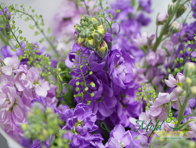 Букет из фиолетовых и сиреневых маттиол в вазе Фото